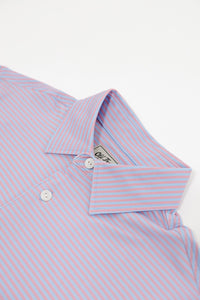 Old Tram William Stripe Performance Polo- Blue/Pink